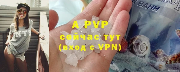 шишки Саяногорск