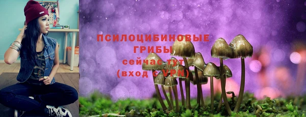 мяу мяу мука Абинск