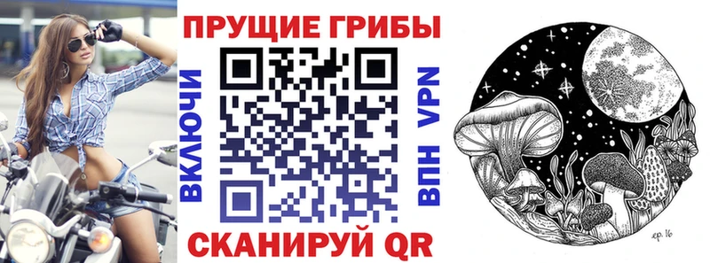 Галлюциногенные грибы MAGIC MUSHROOMS  Бугуруслан 